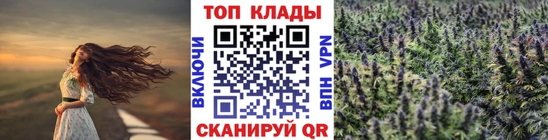 НБОМе Устюжна