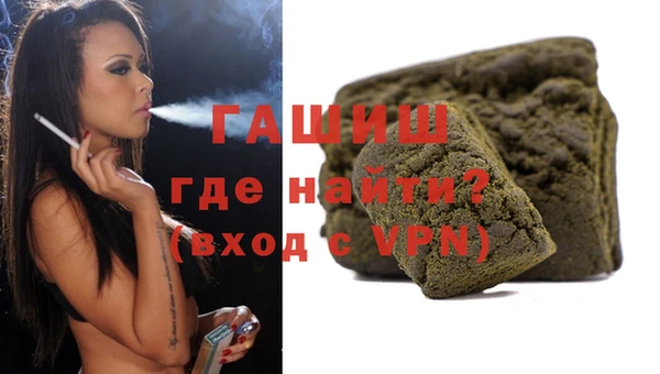 индика Сосновый Бор