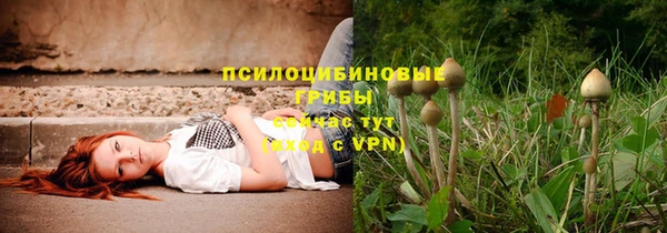 СК Сосновка