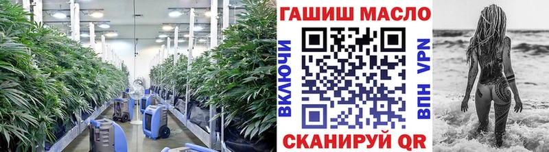 ТГК концентрат  Купить закладки  Устюжна 