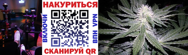 Купить где  Устюжна  Бошки Шишки Amnesia 